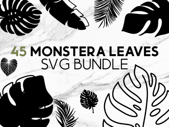 Download Monstera Leaves SVG Graphics - Graphic Collection